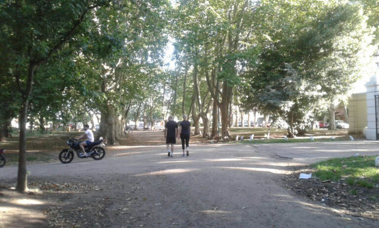 Parque San Martín: arquitectos dieron a conocer un informe