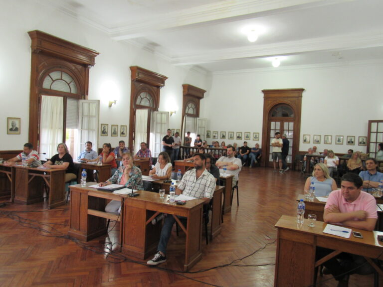 El Concejo aprobó el Fondo de Becas Reintegrables