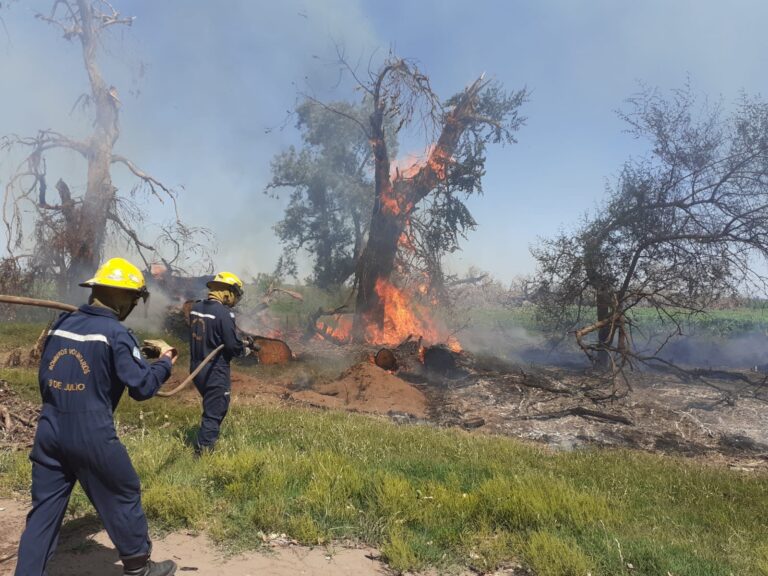 Un incendio alcanzó parte de un monte