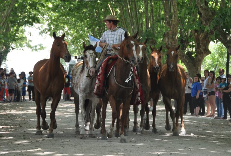 Calendario de Eventos Turísticos en la Provincia de Buenos Aires