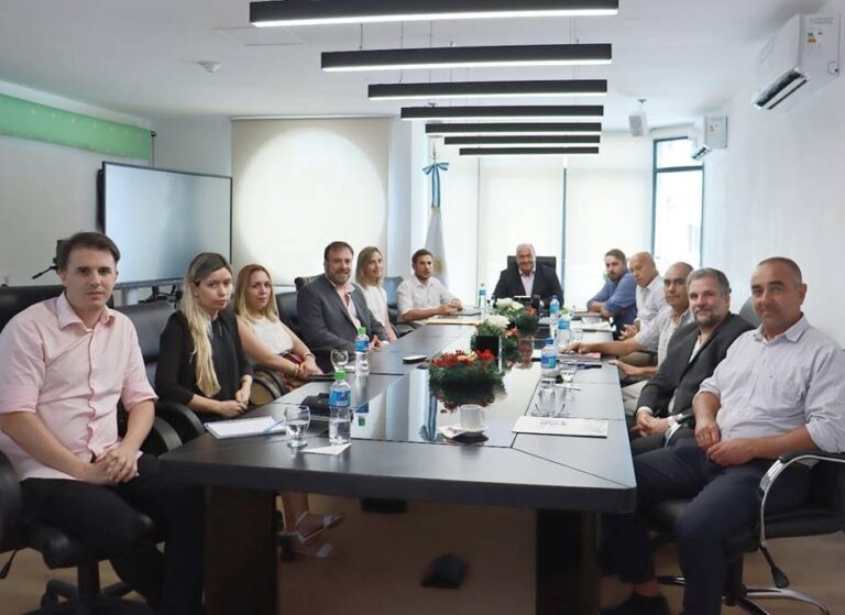 La CEyS se reunió con el ENARGAS