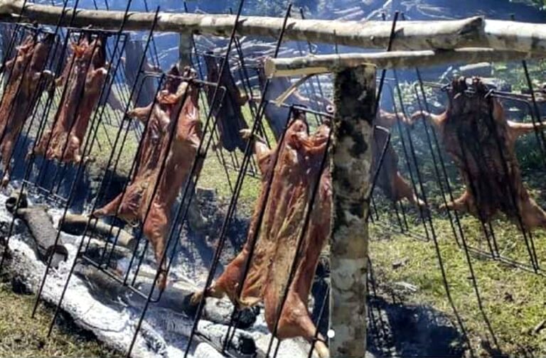 Culmina la Fiesta del Lechón en Morea