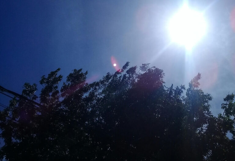 Cómo evitar el Golpe de calor