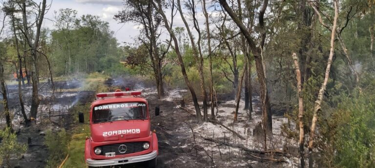 Incendio en un monte: 6 horas de trabajo de Bomberos