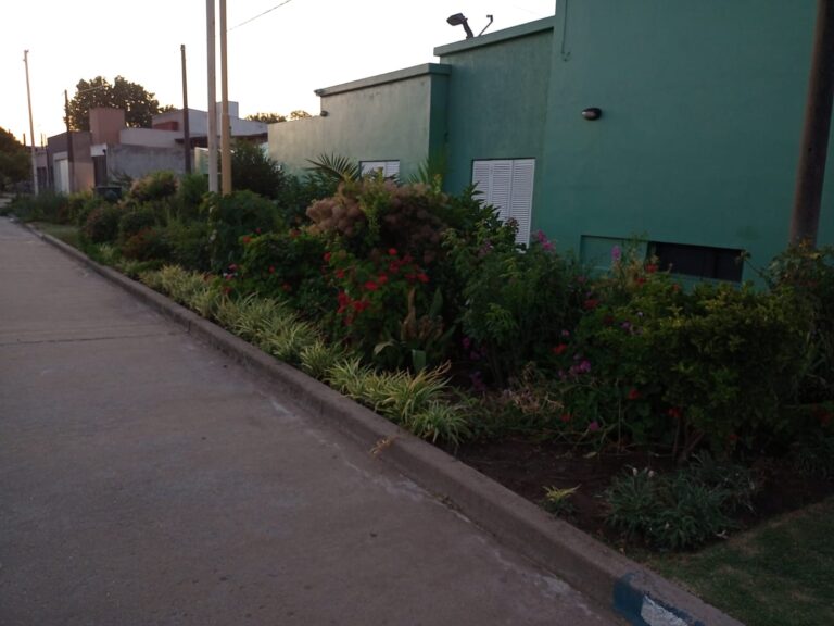 Barrios floridos, un gesto loable de los vecinos