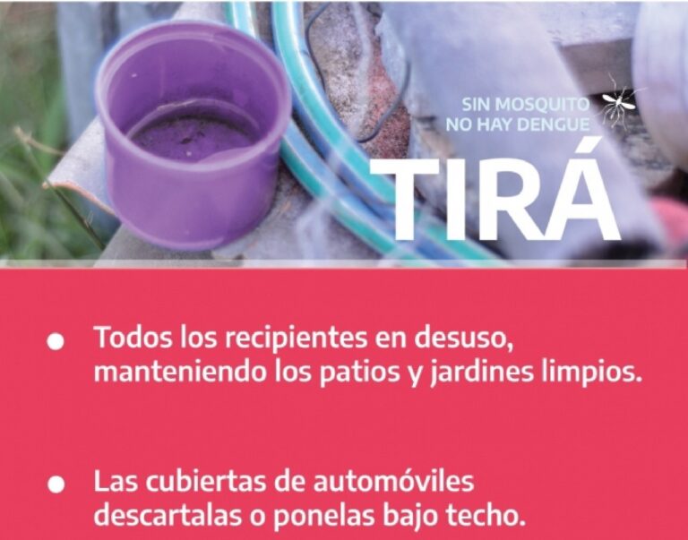 Dengue: recomendaciones para la prevención