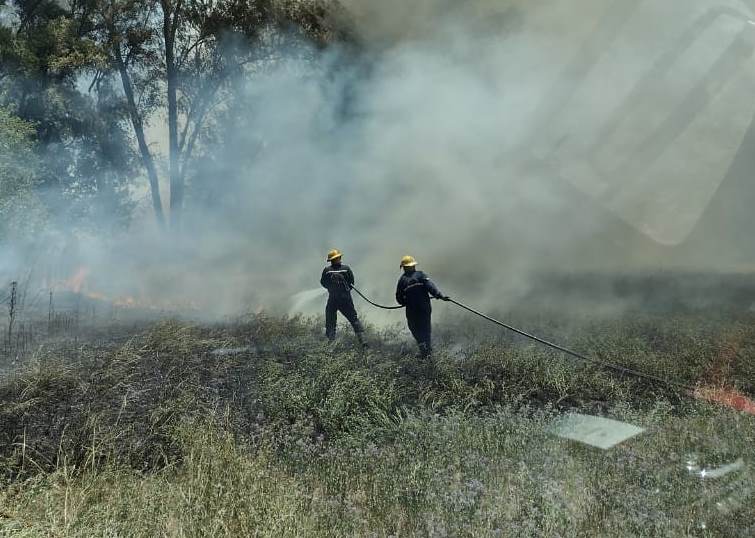 Incendio de un terreno: salida de Bomberos