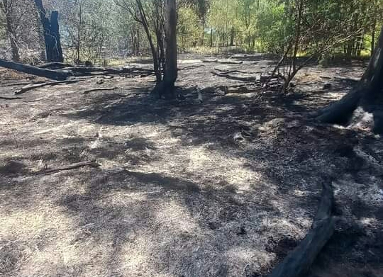 Bomberos de Dudignac: la labor siguió el domingo