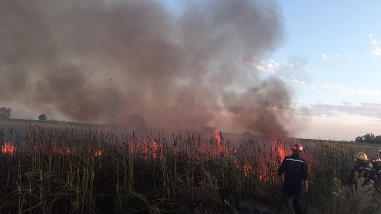 Bomberos sofocaron un incendio en cercanías del Canal Mercante