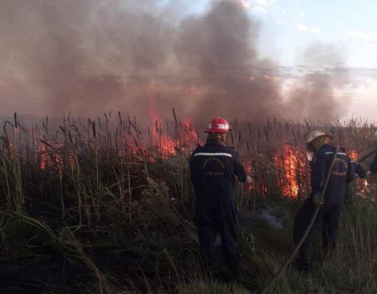 Servicios prestados por Bomberos Voluntarios