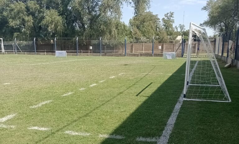Fútbol infantil: hoy arranca «El Fortinerito»