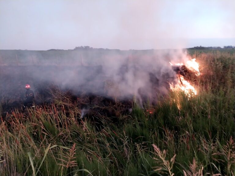 Bomberos intervinieron en varios incendios