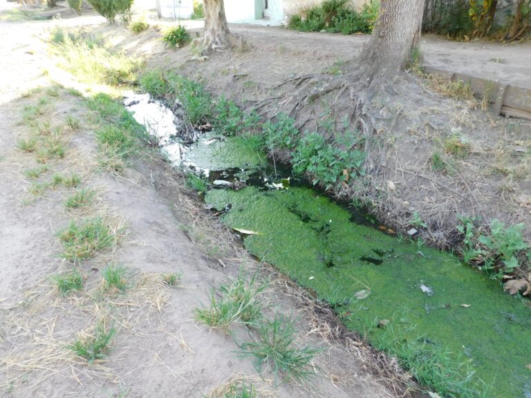 Desagüe: solicitan entubamiento en Naón