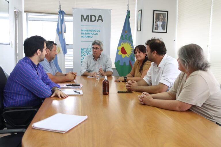 Acceso a Naón: gestiones para la finalización