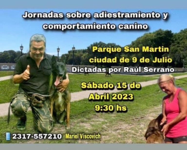Hablemos de comportamiento y adiestramiento canino