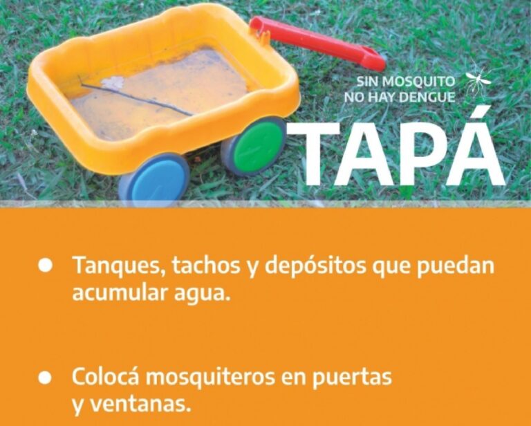 Dengue: aspectos para prevenir los contagios