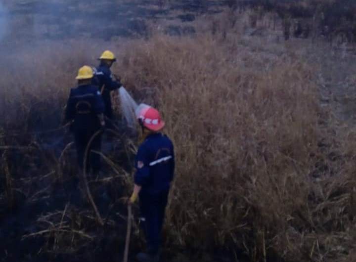 Bomberos intervinieron en un incendio