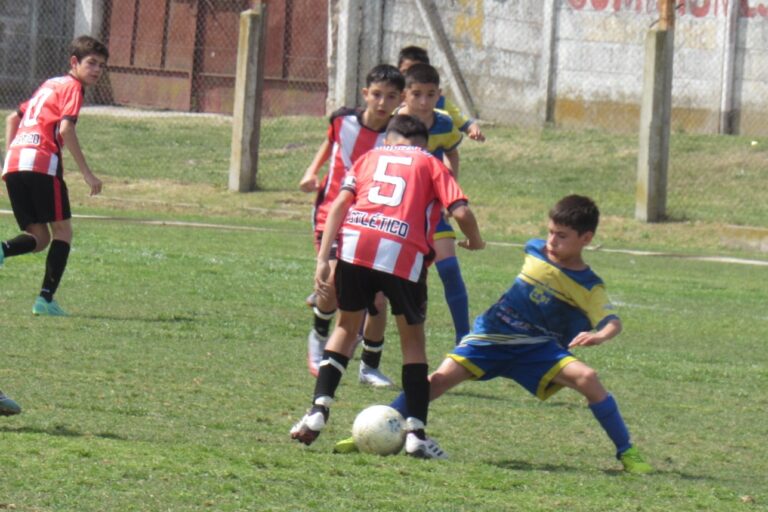 Empieza a jugarse el Torneo de Inferiores