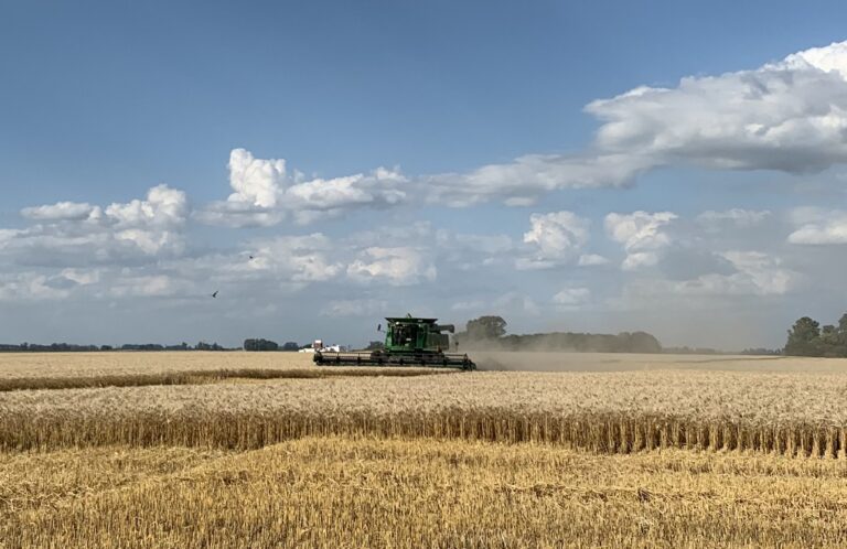 Retenciones al Agro: sólo en 9 de Julio equivalen a 262 km de autovía
