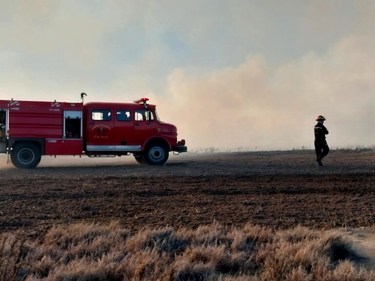 Bomberos intervinieron en un incendio en zona rural