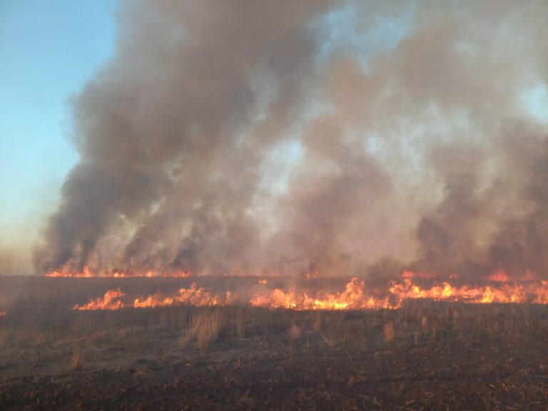 Incendio: más de seis horas de labor
