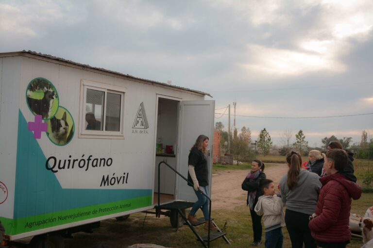 Castraciones de perros y gatos: nueva jornada
