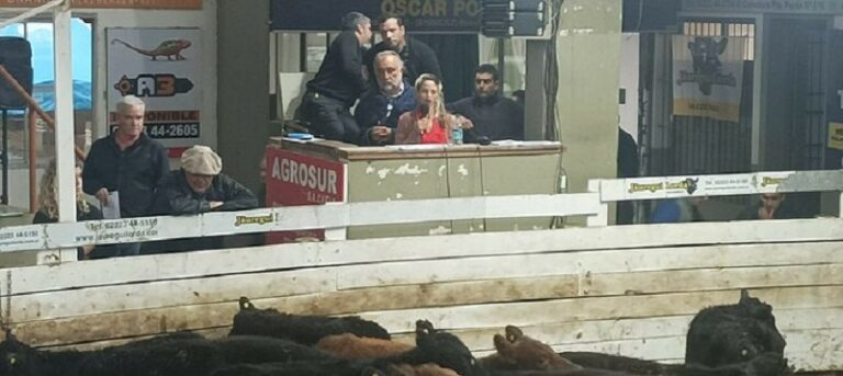 Primer Remate Ganadero Agroecológico, organizado por la Provincia