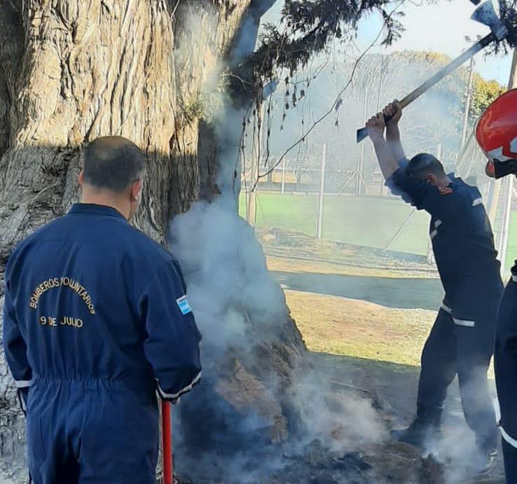 Acto de vandalismo en el Club San Martín