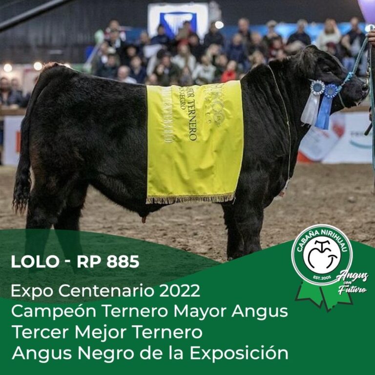 “Cabaña Nirihuau” obtuvo premios