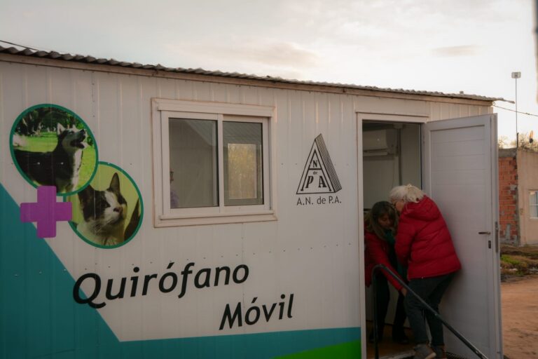 Castraciones de perros y gatos en el Barrio ex Matadero