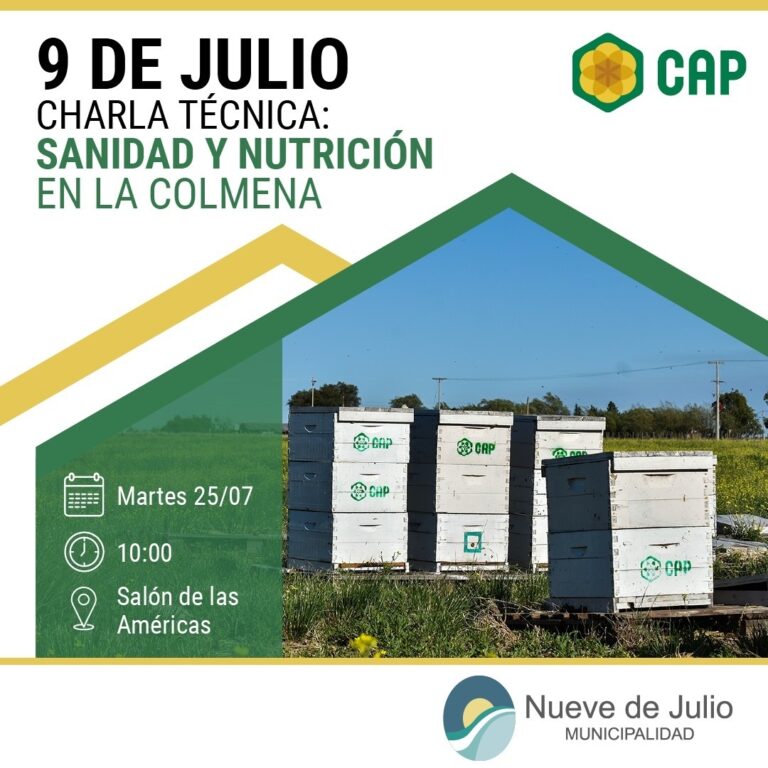 Sanidad de la colmena: invitan a charla
