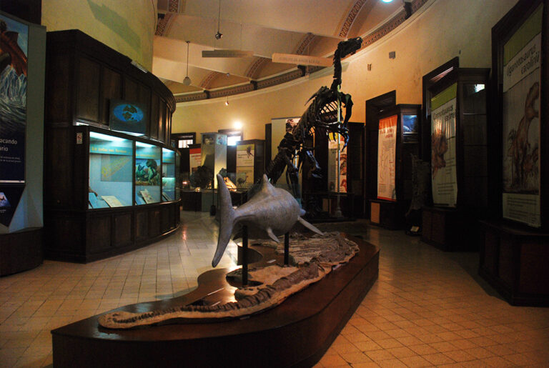 Encuentro coral en el Museo de La Plata