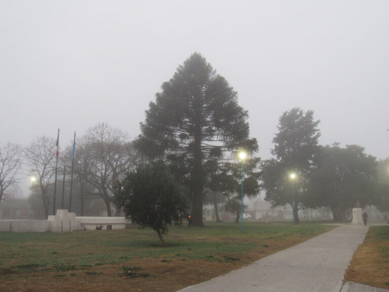 Cambios de temperatura durante la semana