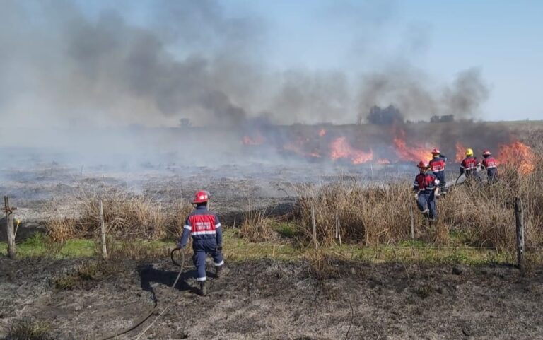 Un incendio demandó cinco horas de labor de Bomberos