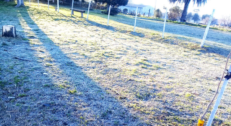 Registro de temperaturas durante la semana