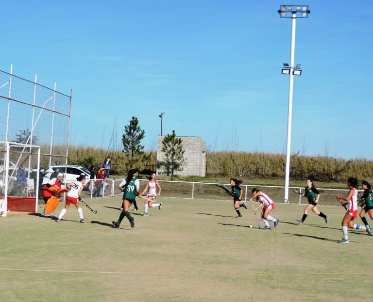 Se reanuda el Torneo de la Asociación de Hockey