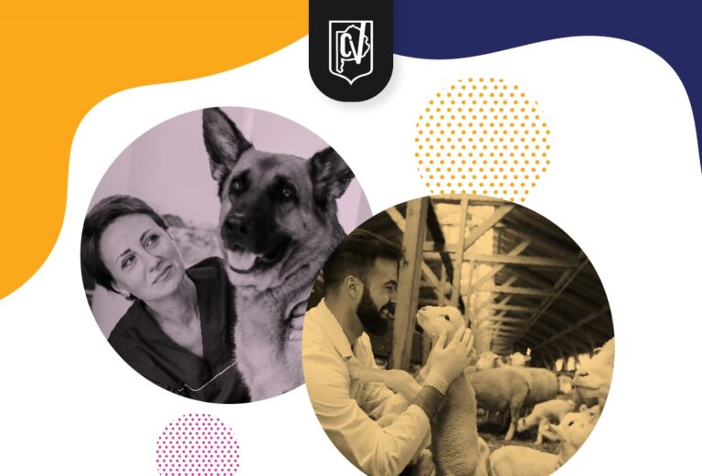 Se celebra hoy el Día del Veterinario: una profesión en crecimiento