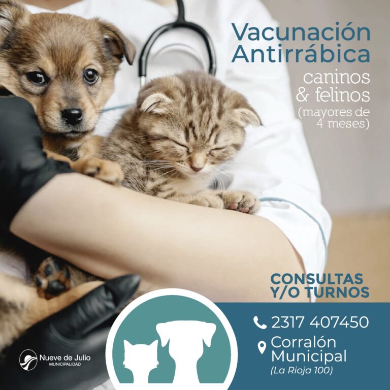 Día Mundial contra la Rabia: vacunar a las mascotas