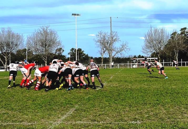Rugby: Atlético 9 de Julio cayó ante Los Miuras en Junín