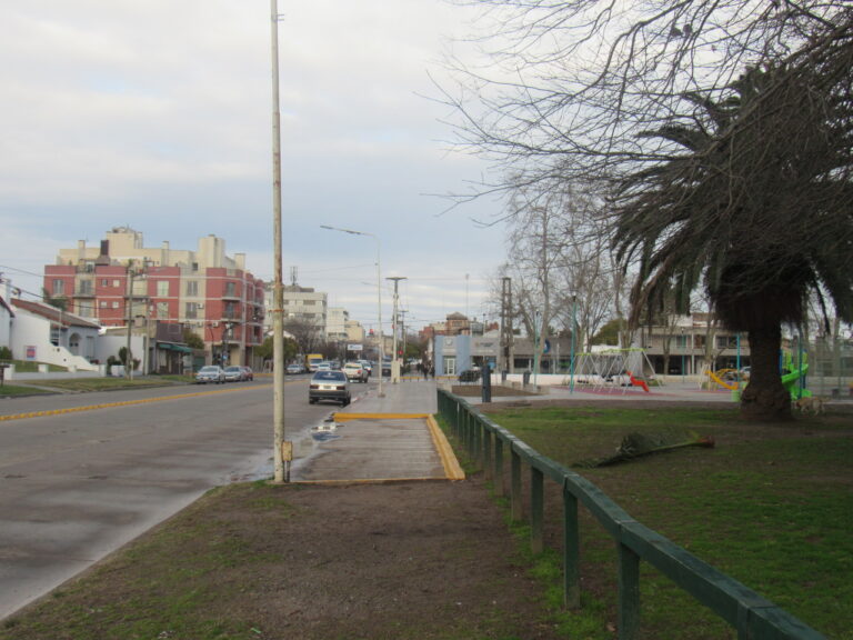 Autos a contramano por Av. Mitre y Av. San Martín