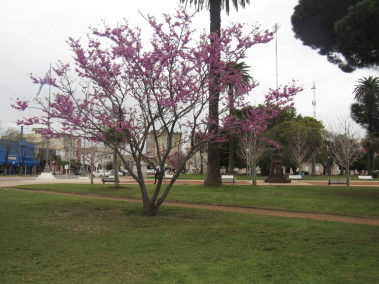 La máxima de la semana fue de 21.3ºC