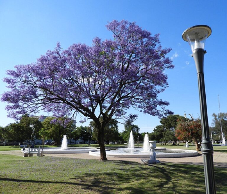 Calendario de eventos en la Provincia, especial Primavera