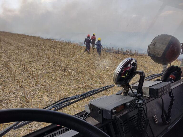 Ardua tarea de todos los cuerpos de bomberos