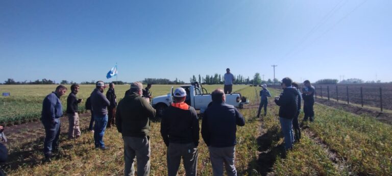 Jornada a campo: analizaron el rendimiento del trigo