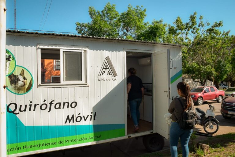 Vecinos concurrieron con sus mascotas