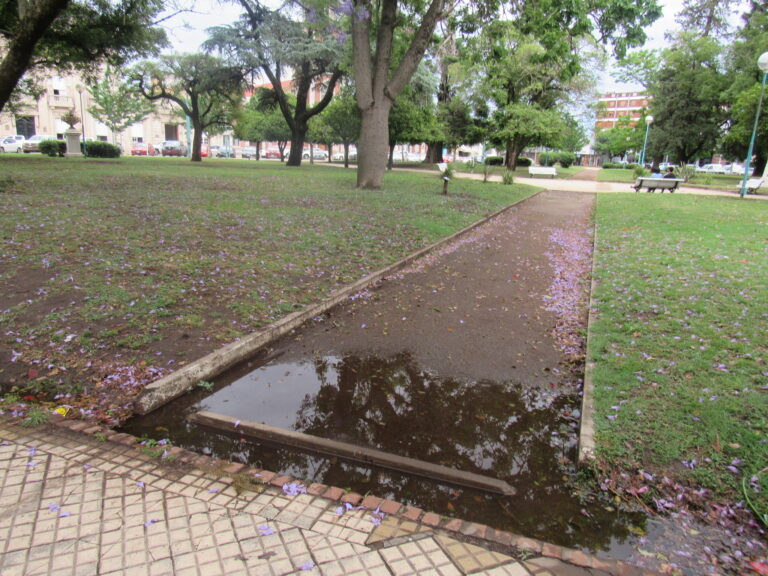 Registro de lluvias en el partido de 9 de Julio