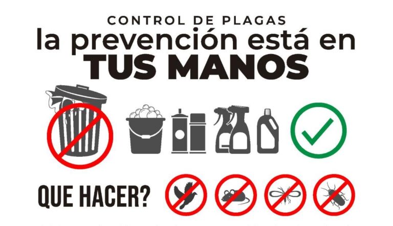 Plagas: control para la prevención