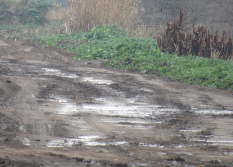 Prohibición de circulación en caminos rurales
