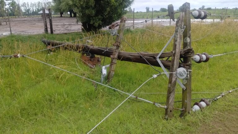 La zona de 12 de Octubre y French, afectada por el temporal
