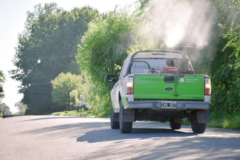 Mosquitos: comienzan las tareas de fumigación